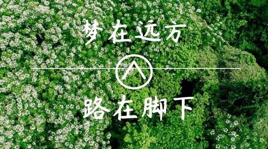 上?？婆d儀器